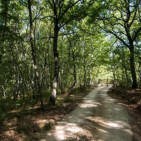 Acquaghiaccia & Casa rural Vagli